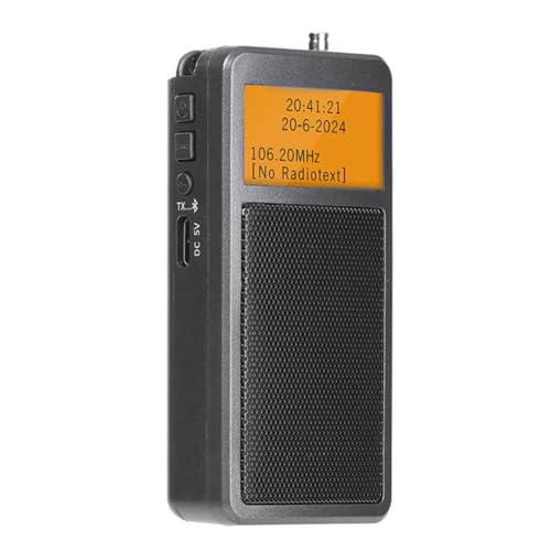 Haut-parleur Bluetooth sans fil compact contre les grésillements FM
