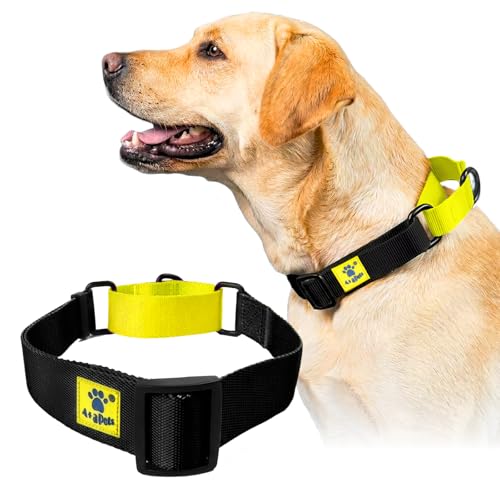 Image of A+a Pets Martingale Dog Collar | No Pull Design, No Neck Strain, No Choke Design | for Large & Medium Dogs | Rust Free, Waterproof Nylon Training Collar (Black & Yellow), 20 x 2.5 cm