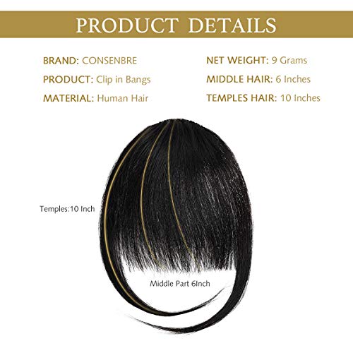 EFA2Z Prendedor de cabelo com franja, extensões de cabelo humano com franja, franja com têmporas par
