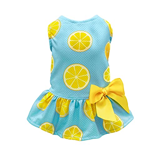 Fitwarm Lemon Summer Dog Dress Puppy Clothes Doggie Sundress Pet Vest Cat Apparel Water Blue Large