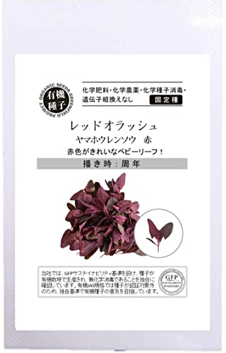 �O���[���t�B�[���h�v���W�F�N�g�y�L�@��q�E�Œ��z���b�h�I���b�V�� / ���}�z�E�����\�E �� A570