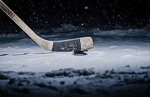 1 x Hockey Stick & Puck Ice Rink Game Black Ballpoint Pen Student #3352