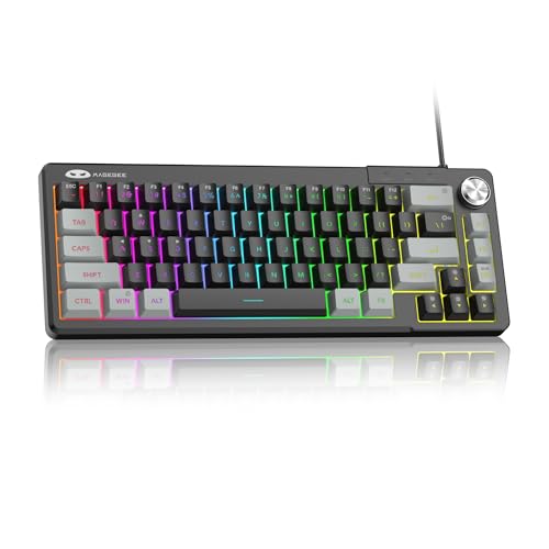 MageGee Mini 60% Gaming Keyboard, RGB Backlit 68 Key Ultra-Compact Keyboard, TS68 Ergonomic Waterproof Mechanical Feeling Office Computer Keyboards for PC, MAC, PS4, Xbox ONE Gamer