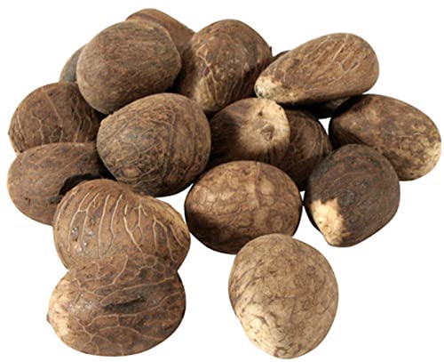Lot de 20 noix de Tagua équitables | Ivoire végétalien | Taille M 55-65 mm/5,5 cm-6,5 cm