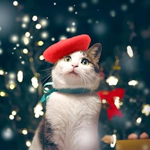 Dog Cat Beret Wool Hat Headband French Artist Beanie Beret Pet Dog Christmas Costume Hair Accessory Photo Props (Red, One Size) Dog Cat Beret Wool Hat Headband French Artist Beanie Beret Pet Dog Christmas Costume Hair Accessory Photo Props Red One Size