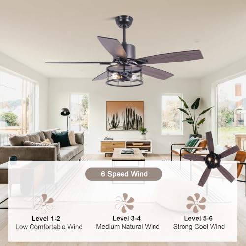 Image of 46 inch Farmhouse Ceiling Fan with Lights Remote Rustic Ceiling Fan | Industrial Caged Fandelier, Black Chandelier Light for Living Room Indoor Outdoor, Reversible DC Motor 6 Speeds, 2 E26 Bases