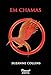 Em chamas (Jogos Vorazes Livro 2)