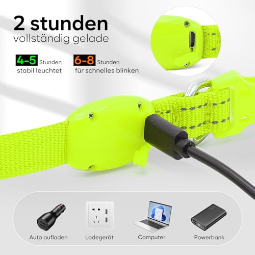 Kpuplol Leuchthalsband Hund, Hundehalsband Leuchtend, Wiederaufladbar Hundehalsband Leuchtend LED Halsband für Hunde Einstellbare Größe, 2 Beleuchtungsmodi für Kleine Mittlere Große Hunde