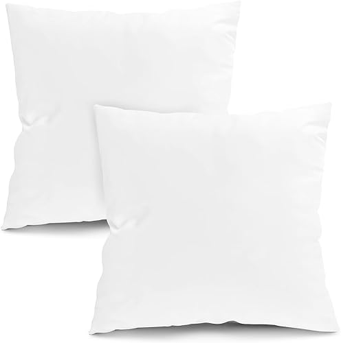 Fixwal Juego de 2 cojines decorativos para cama y sofá de 16 x 16 pulgadas, almohadas decorativas de interior para cama y sofá