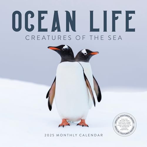 Ocean Life Calendar 2025 Creatures of the Sea 12" x 24