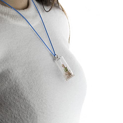 Collana con Ciondolo Mini Cactus Veri, Minì