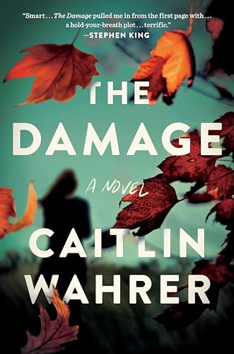 The Damage: A Novel view 2