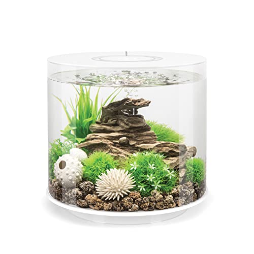 Tube 15 Aquarium with Standard Light – 4 Gallon, White