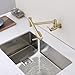 RANDOM Brushed Gold Pot Filler Over Stove Faucet Brass Wall Mount Folding Kitchen Sink Faucet Double Joint Swing Arms.RD-81916-BG