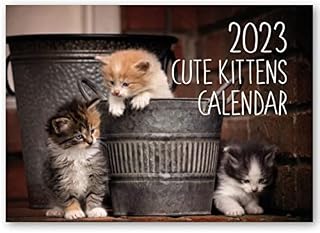 2023 A4 Kitten Calendar. One Month to View. Wall Calendar by Absolutely Yours.