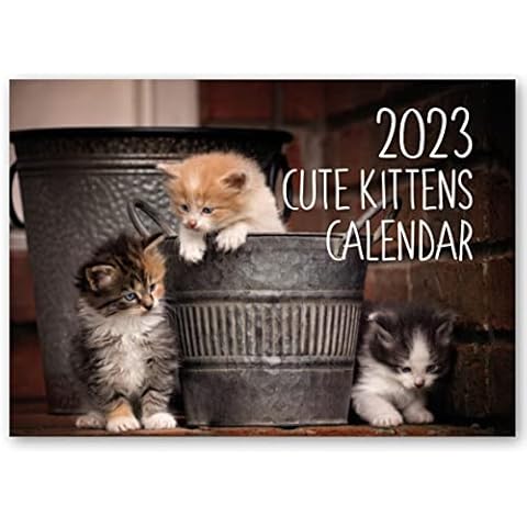 2023 A4 Kitten Calendar. One Month to View. Wall Calendar by Absolutely Yours Cover