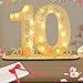 Seutgjie Deko 10 Geburtstag Mädchen Junge,2016-2026 Geldgeschenke Geburtstag 10 Originelle Holz Schild Gästebuch mit LED Lichterkette für Mädchen Junge Rosenhochzeit Jubiläum Tischdeko
