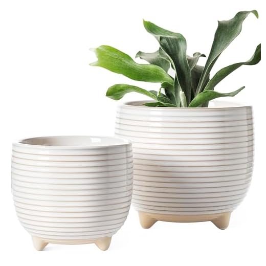 LE TAUCI Ceramic Plant Pots, 5.1 + 6.4 Inch Footed Pots for Plants, Modern Flower Pots for Home and Office, Indoor Planters with Drainage, Reactive Glaze White