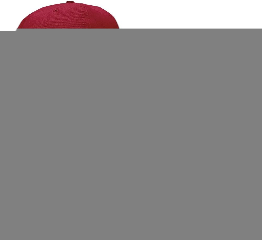 Vbe123 Studio Ghibli My Neighbor Totoro Baseball Caps Snapback Trucker Hats Snapbacks