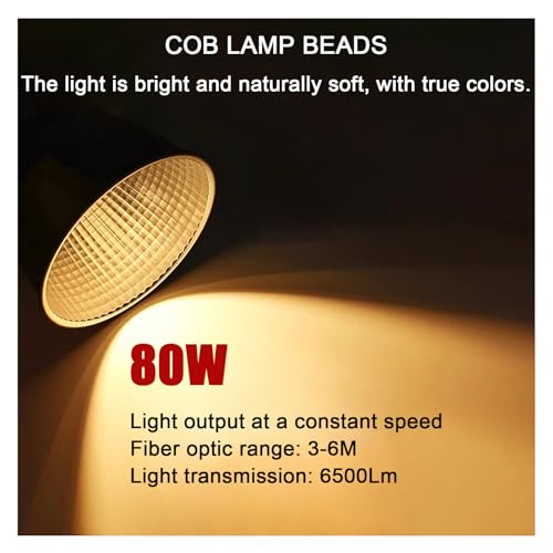 Luz de video de mano COB 80W con alta representacion de color de grado 96 4