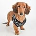 Puppia Dotty Dog Harness Over-the-Head No Pull No Choke Walking Training Adjustable for Small & Medium Dog, Small, Black