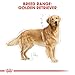 Royal Canin 35251 Breed Golden Retriever 12 kg- Hundefutter