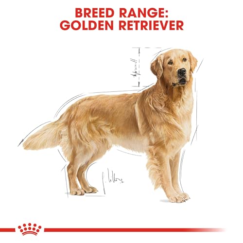 Royal Canin 35251 Breed Golden Retriever 12 kg- Hundefutter