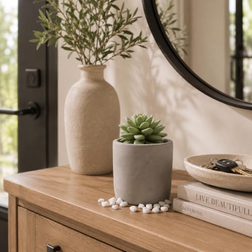 Difusor de Aroma Pretty Valley Home Succulent Gypsum Cerámico miniatura 4