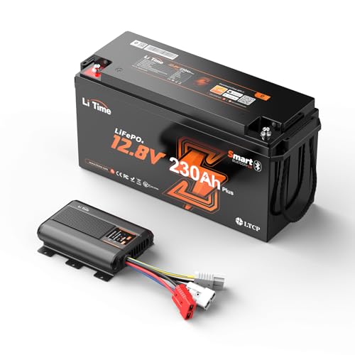 LiTime 12V 230Ah Bluetooth リン酸鉄リチウムイオンバッテリー 12V40A DC-DC 走行充電器 セット リモート操作可能 2944Wh電力量 2560W出力電力 10年使用可能 低温保護機能付き LiFePO4バッテリー 5.