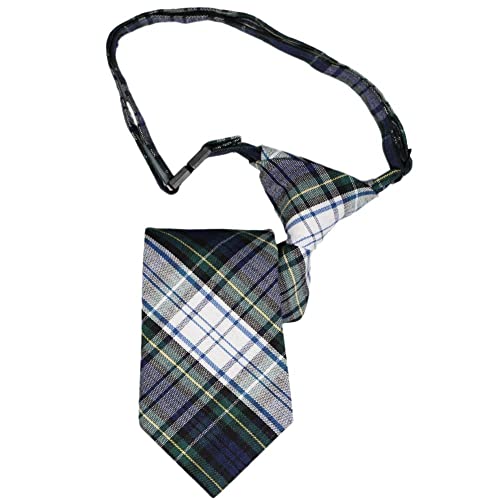 tiemart Boys' Plaid Breakaway Tie (14