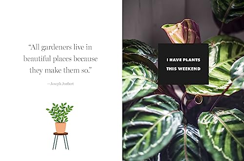 Happy Houseplants: Grow Your Own Indoor Oasis