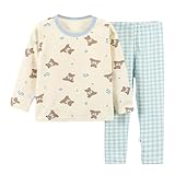 [lisusut] ベビー服 子供服 キッズ パジャマ 男の子 女の子 長袖 上下セット 部屋着 ガールズ 可愛い ルームウェア 寝巻き パジャマ 長袖 長ズボン 2点セット キッズ 子供服 女の子 男の子 部屋着 寝間着 かわいい 学生 春 秋 秋冬 (100/B1ライトブルー)