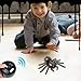 Imagen de Juguete De Relleno De Araña RC