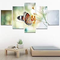 SIGNWIN 5 Panel Canvas Wall Art Birds Butterfly Closeup Colorful Contemporary Home Office Modern Art Multicolor Photography for Home Decorations Ready to Hang - 60