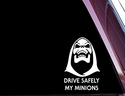 ROXXOR Decals Skeletor is Love - 4