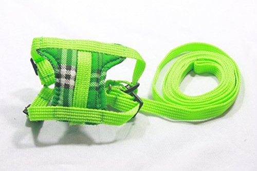 Leashes Lead Pet & Soft Harness,Guinea Pig,Rat,Hamster,Rabbit,Ferret,Prairie Dog (Light Green)