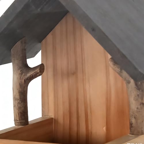 Station d'alimentation murale pour pinson et mangeoire à oiseaux résistante