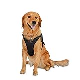 Petco Brand - Reddy Road Trip Crash-Tested Dog Harness, Large
