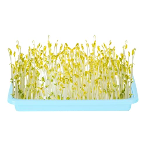 Bandeja de germinación de gran capacidad sin tierra, para germinación de microvegetales y plántulas, cultivador saludable de pasto de trigo, planta de almacenamiento y bandeja de propagación para