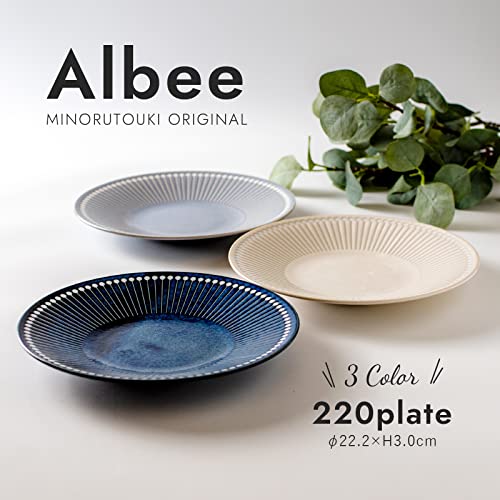 Plato liviano gris de porcelana Mino ware juego de 2 miniatura 2