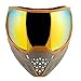 Empire EVS Thermal Paintball Mask (AC Dallas)