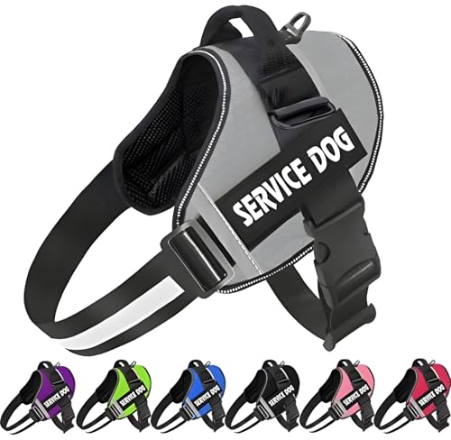 GIIPET-hbOg[i[EI n[lX [hZbgԔ p[n[lX AɗD hbOn[lX h~ p  ߖh~ʂTCY߉\ [ Eoh~ y ʋCK ^ E^E^p (O[