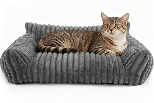 Tutamaz Katzensofa Bett, Katzenbett 60x45x20cm, Katzenbetten für Hauskatzen Weich und Flauschig, Kleines Hundesofabett Katzensofabett, Waschbarem Bezug Anti-Rutsch Hundebett Sofa für Hunde (Grau)