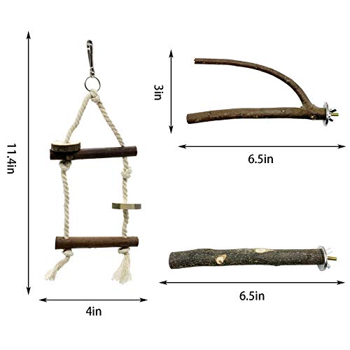 EBaokuup Bird Parrot Perch Stand Set - 10 PCS Natural Wood Bird Parakeet Stand Branch, Fork Perch Rod Stand Paw Grinding… - Image 3