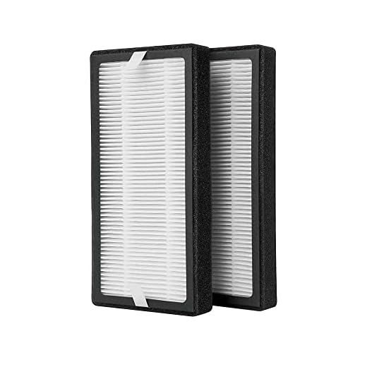 HoMedics TotalClean HEPA-Type Replacement Filter (2- Pack), Clean Air Filter for use with HoMedics HEPA-Type AP- DT10 & AP- DT10WT, Air Purifiers