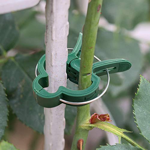 Alotpower Plant Support Clips 60pcs, Flower and Vine Clips,Garden Tomato Plant Support Clips for Supporting Stems,Vines Grow Upright Vegetables Tomatoes Climbing (2 Sizes in one Pack)