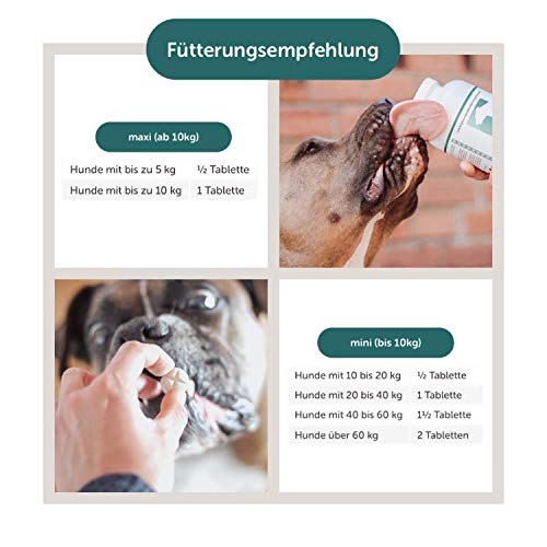3 Dosen CaniMove Motion mini: Das Sparpaket mit 300 Tabletten. Mit Glucosamin, MSM, Hyaluronsäure und mehr