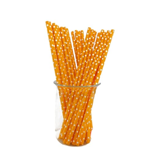 y[p[Xg [ 100{ XgCv  X g[ ĝ  Jt O X g[ qI  W[X JNe X[W[ p[eB[ a NX}X p[eB[ObY ƒp Ɩp psGXg[ (D,500{