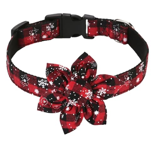 L NX}X ybg  ̌ {  L ̎ ANZT[ y Z[teBobN RXv RX`[ ʐ^Be NX}X p[eB ^ ^ \ ybgpi ( bh, M)