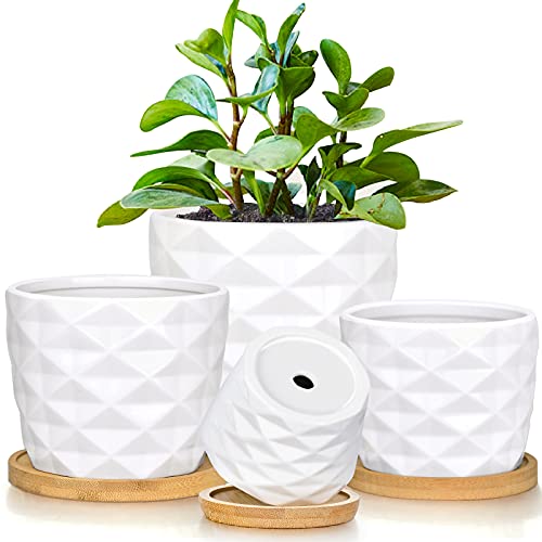 Succulent pots 4 Pack White Ceramic pots for Plants Indoor Succulent planters with Drainage Tray Bamboo Small to Medium Flower pots Cactus Planter Pots